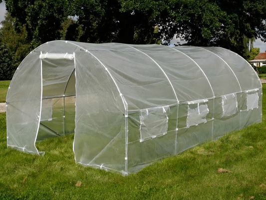 Polytunnel Greenhouse 3x6x2 m Transparent for Domestic and Commercial Use - product detail