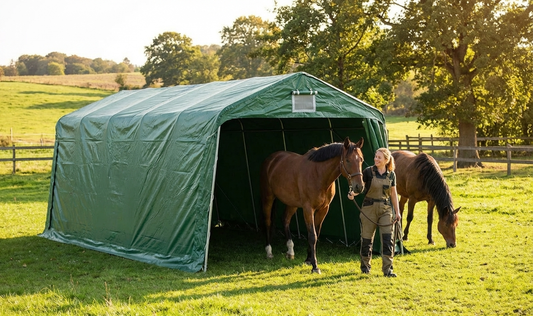 Green livestock shelter made of PVC and steel, 3.3x6x2.4m - product detail