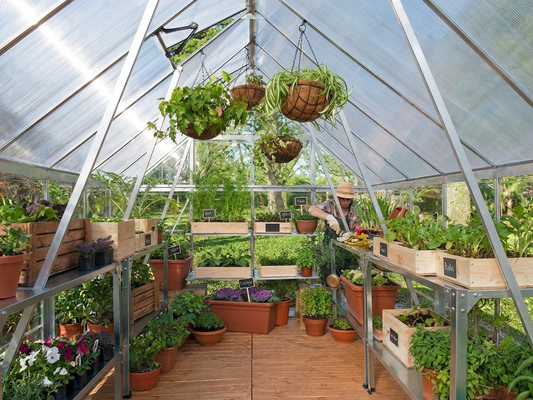 Silver polycarbonate greenhouse with aluminium frame