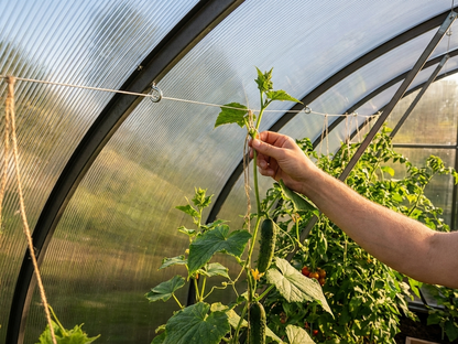 Plant binding set for greenhouses in galvanised steel