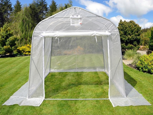 Polytunnel greenhouse with transparent cover and galvanised steel frame - product detail