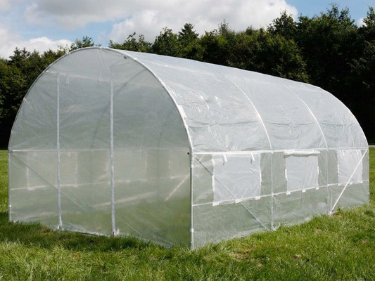 Polytunnel Greenhouse 3x4.5m Transparent with Galvanised Steel Frame