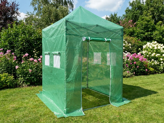 Transparent/Green 2x2m Greenhouse with Aluminium Frame