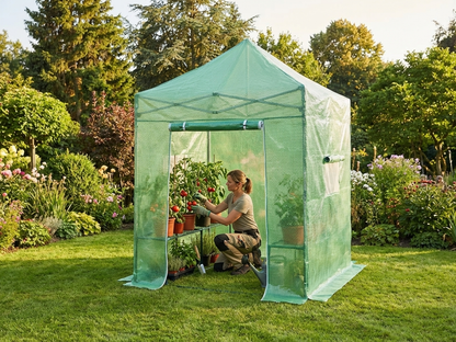 Transparent/Green 2x2m Greenhouse with Aluminium Frame - product detail
