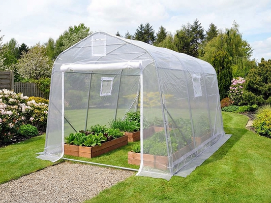 Polytunnel greenhouse with transparent cover and galvanised steel frame