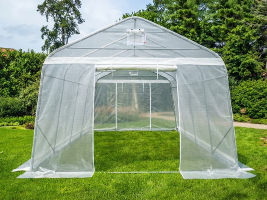 Transparent polytunnel greenhouse with galvanised steel frame - product detail