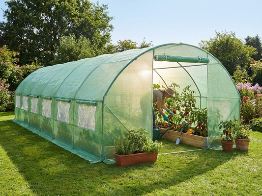 Polytunnel Greenhouse 4x10.6x2 m Green in garden - product detail