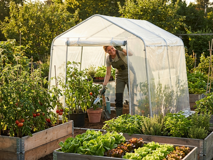 Polytunnel roof cover 2.4x2.4x2m transparent for greenhouses - view 3