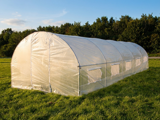 Polytunnel Greenhouse with Transparent Foil for Domestic and Commercial Use