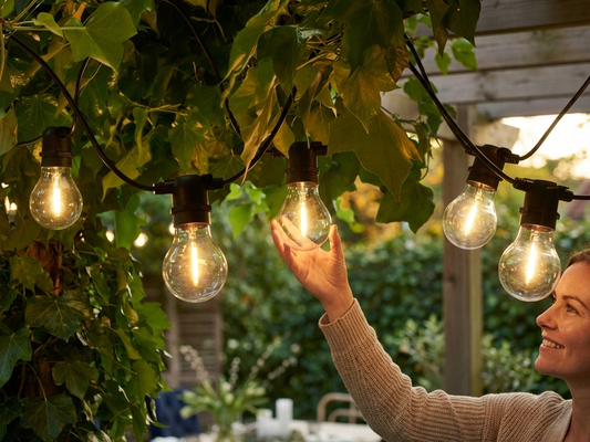 Clear LED fairy lights for indoor and outdoor use