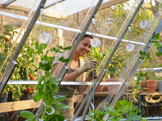Plant Trellising Set PRO for greenhouse use in silver and white - product detail