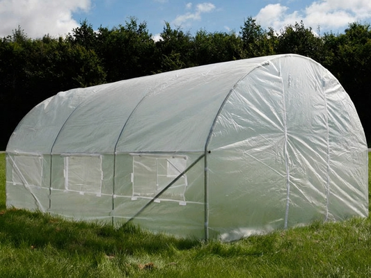 Transparent polytunnel greenhouse with galvanised steel frame