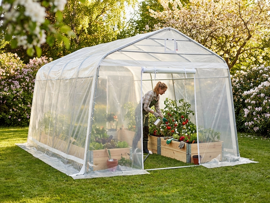 Spacious transparent polytunnel greenhouse with galvanised steel frame