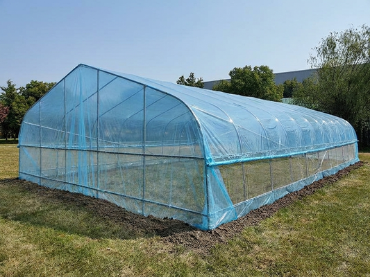 Polytunnel Greenhouse with Transparent Cover and Galvanised Steel Frame - product detail